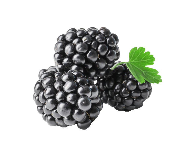 mora Santa Clara Huelva