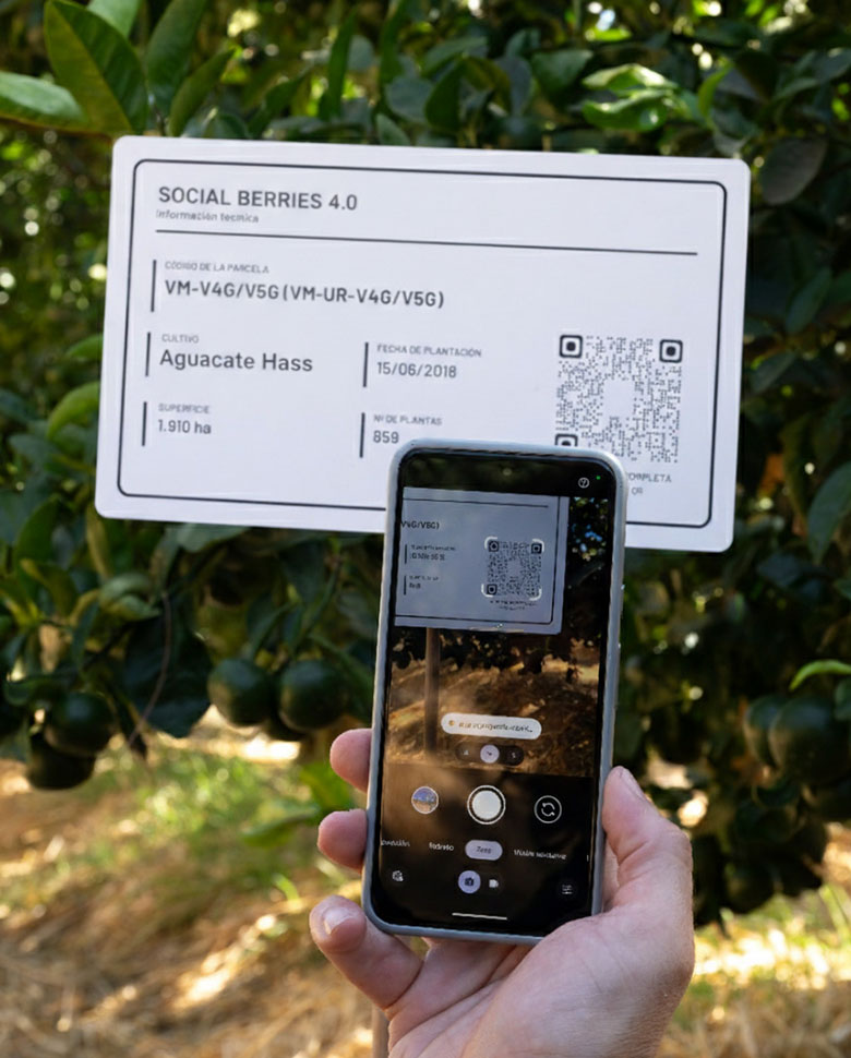 innovación agrícola código QR