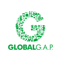 Certificado GLobal GAP